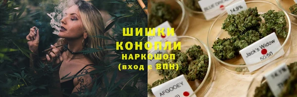 индика Липки