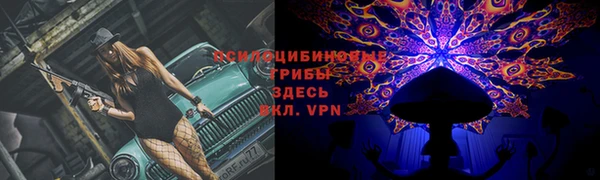 стаф Заволжск