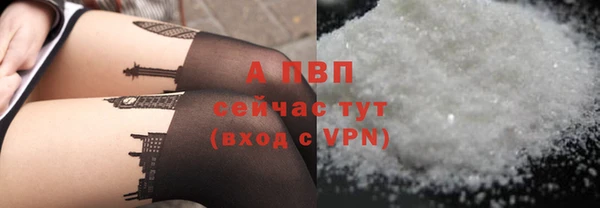 индика Липки