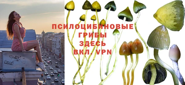 стаф Заволжск