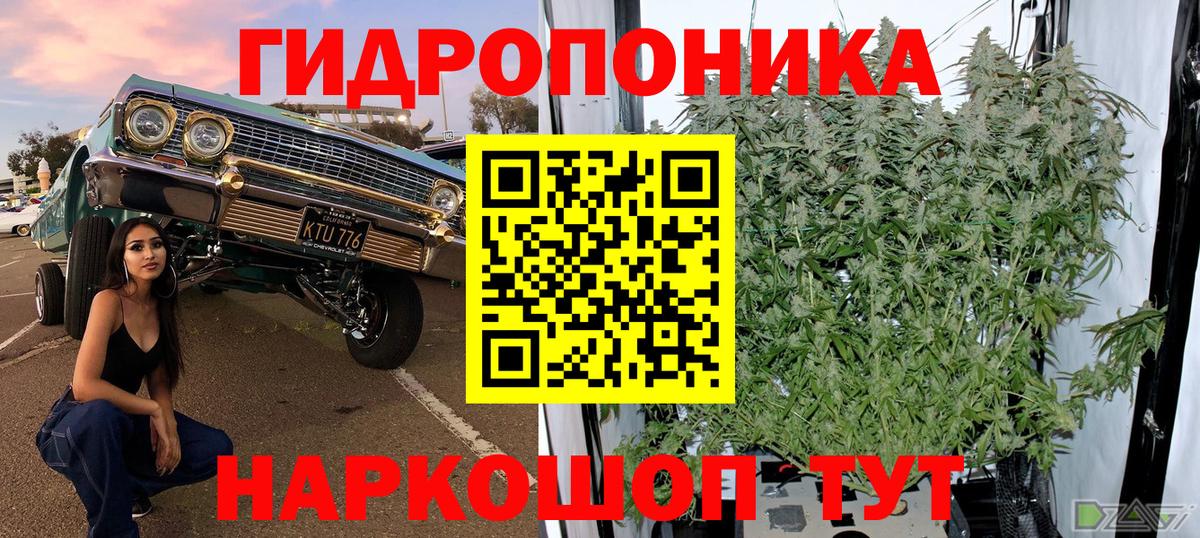 Бошки марихуана сатива Славгород