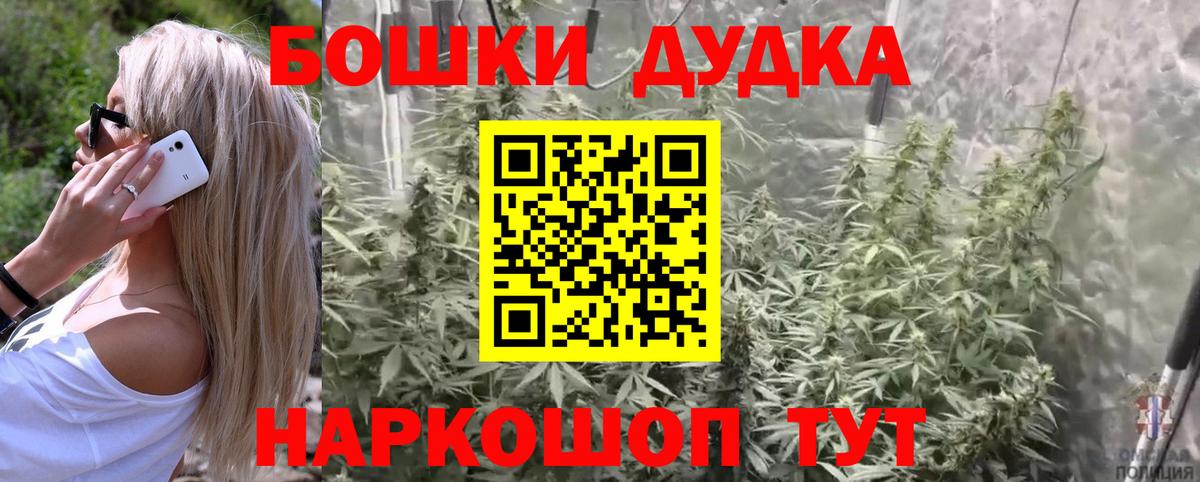 Бошки Шишки MAZAR Славгород