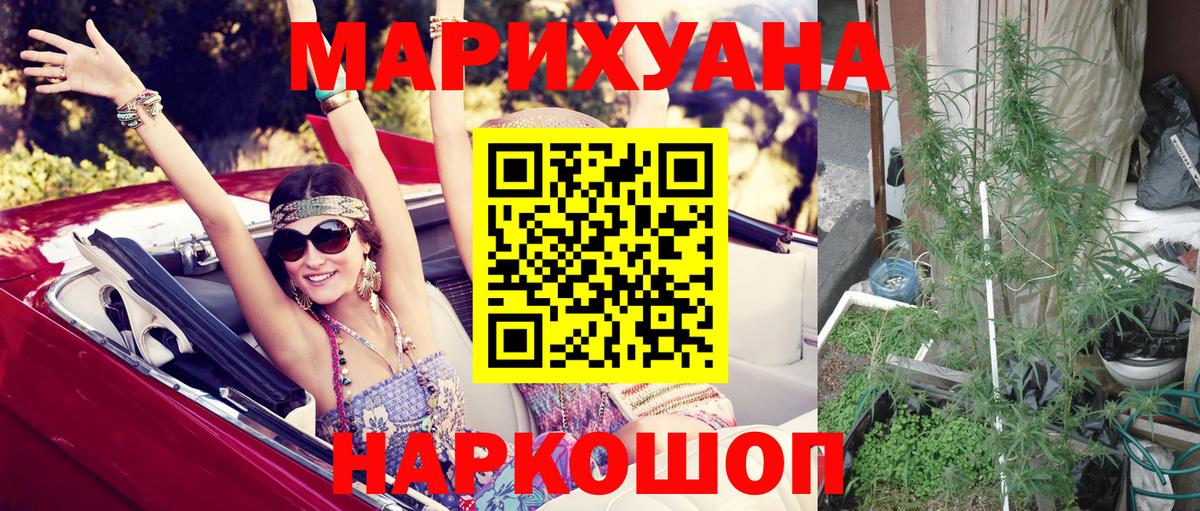 Бошки марихуана AK-47  МАРИХУАНА OG Kush  Конопля гибрид  Славгород 